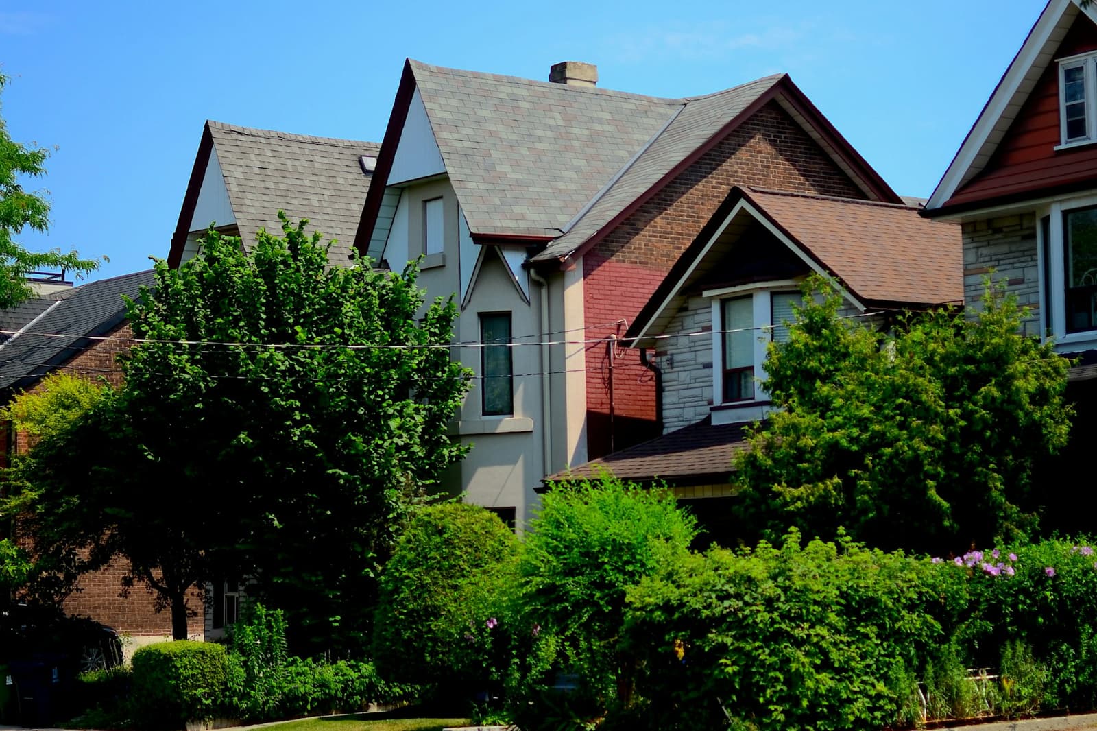 Detached houses on a leafy residential street in Toronto